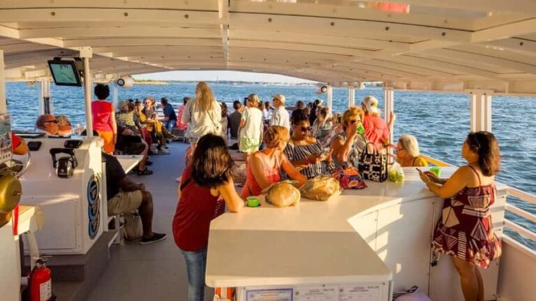 St. Augustine, FL: Dolphin Odyssey/Sightseeing Tour - The Itinerary: What to Expect