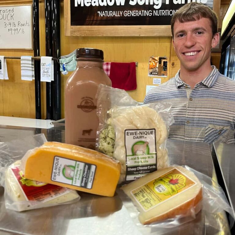 St. Jacobs: Farmer's Market Food Tour with Tastings - A Deep Dive Into the Experience