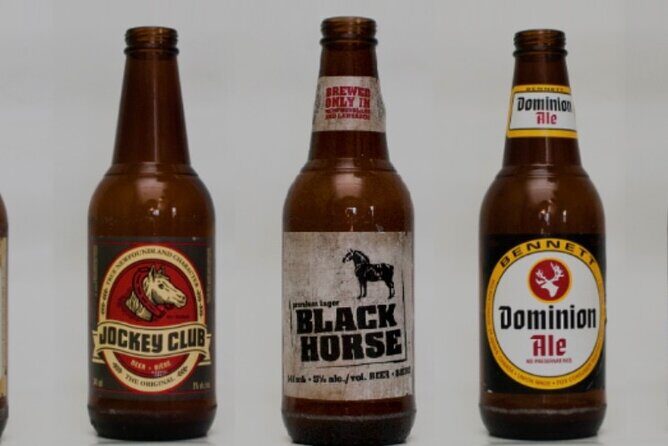 St. John's Local Pub Tour & History Lesson - Who Should Consider This Tour?