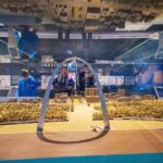 St. Louis Walking Tour with St Louis Arch Ticket - A Deep Dive into the Experience