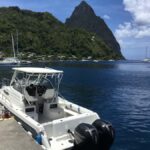 St.Lucia Private West Coast Snorkeling charter to Soufriere - Who Should Consider This Tour?