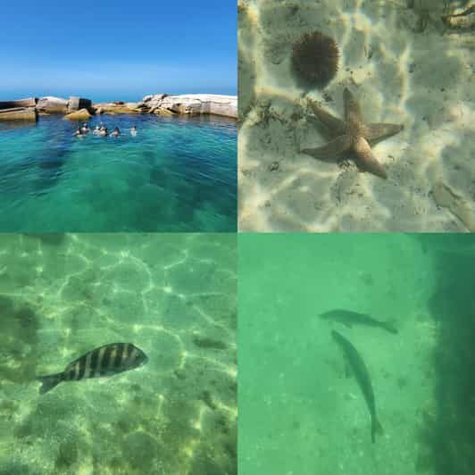 St Pete Beach: Private Boat tour for watersports snorkeling - The Experience in Practice: Why It Works
