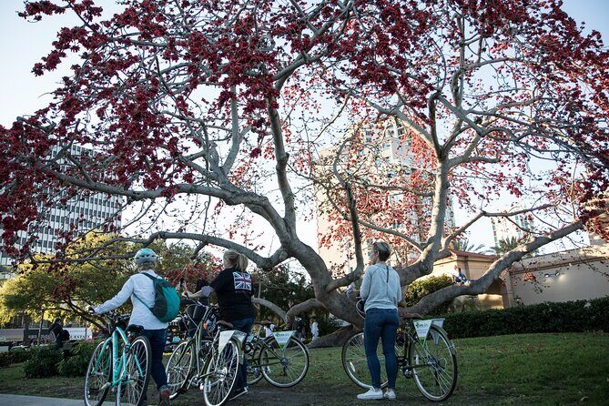 St Pete Ebike Tour with Lunch - What’s Included and How Does It Add Value?
