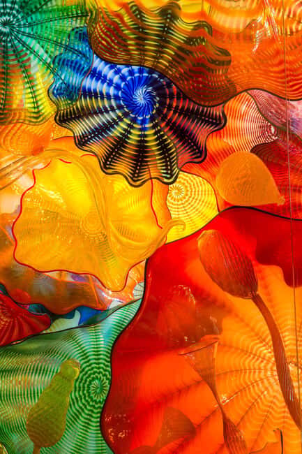 St. Petersburg: Chihuly Collection Admission Ticket - A Closer Look at the Experience
