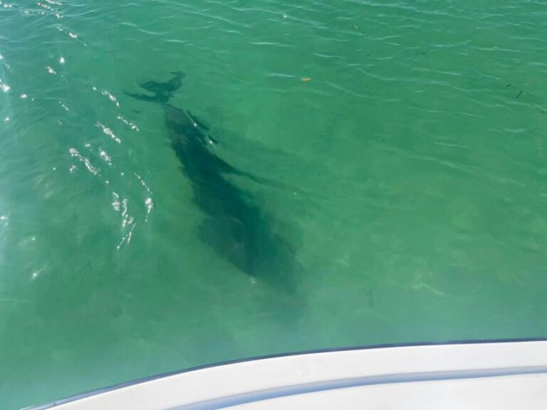 St. Petersburg, FL: 4-Hour Private Beach Tour - Who Will Love This Tour?