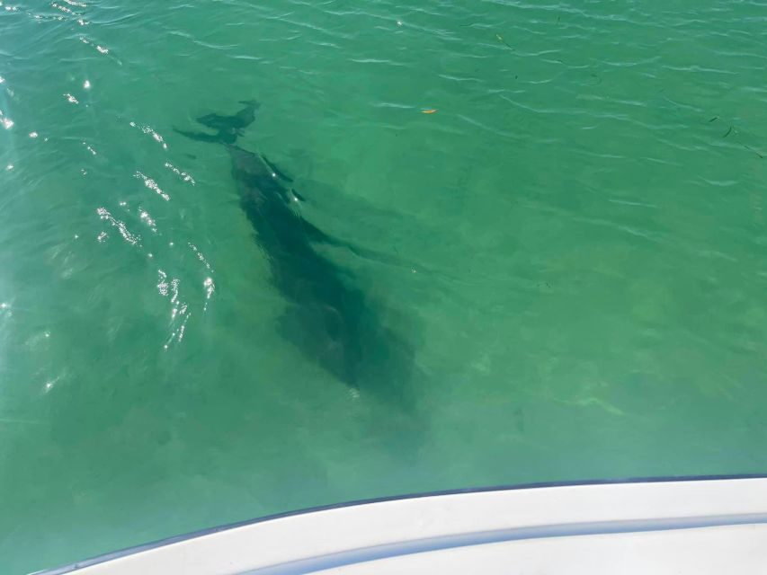 St. Petersburg, FL: 4-Hour Private Beach Tour - Who Will Love This Tour?