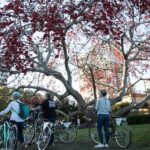 St. Petersburg: Historic Biking Tour - Key Points