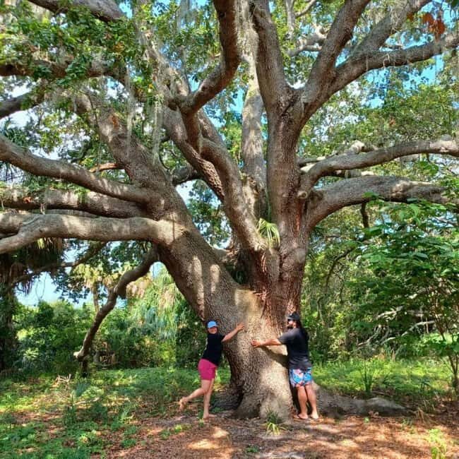 St. Petersburg: Lake Maggiore Bike Tour with Guide - Who Will Love This Tour?