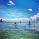 St. Petersburg: Paddle Board Tour with Wildlife Spotting - Deep Dive into the Experience