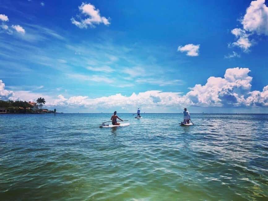 St. Petersburg: Paddle Board Tour with Wildlife Spotting - Deep Dive into the Experience