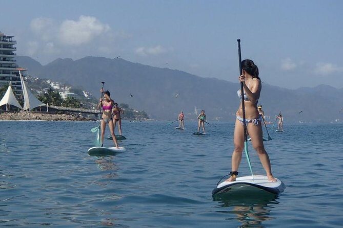 Stand-Up Paddle Board Lesson in Puerto Vallarta - The Landmarks & Views