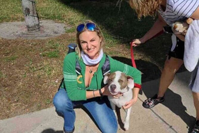 Stanford University Scavenger Hunt Stanford Scholarly Knowledge - What Previous Participants Say