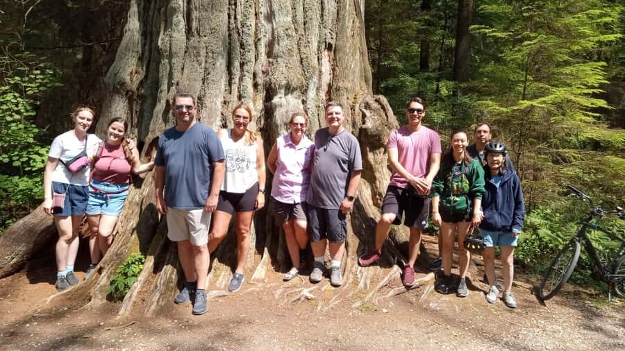 Stanley Park Highlights 2.5 Hour Walking Tour - The Value of the Tour