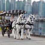 Stanley Park Horse-Drawn Tour - The Sum Up: The Ideal Way to Experience Stanley Park