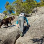 Stawamus Chief Hike & Local Brewery Tasting - The Value of This Tour