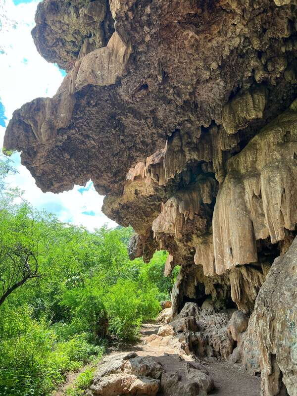 Steer route: Tour of the ruins and tasting in Mazatan - The Bottom Line