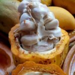 Steps Full of Flavor, Cancun Foodie & Market Tour - The Value of This Tour