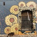 Street Art Bike Ride - What’s the Tour All About?