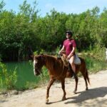 STROLL the Jungle Trails on a HORSE. Includes Transportation and Equipment. - The Sum Up: Is It Worth It?