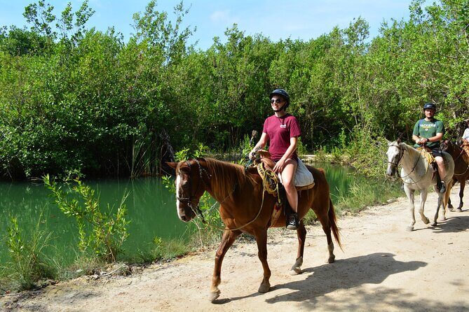 STROLL the Jungle Trails on a HORSE. Includes Transportation and Equipment. - The Sum Up: Is It Worth It?