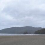 STUNNING San Josef Bay Tour in Cape Scott Provincial Park - Who This Tour Is Best For