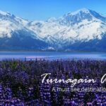 Stunning Turnagain Arm Tour: "A Must See Destination" - What Travelers Say
