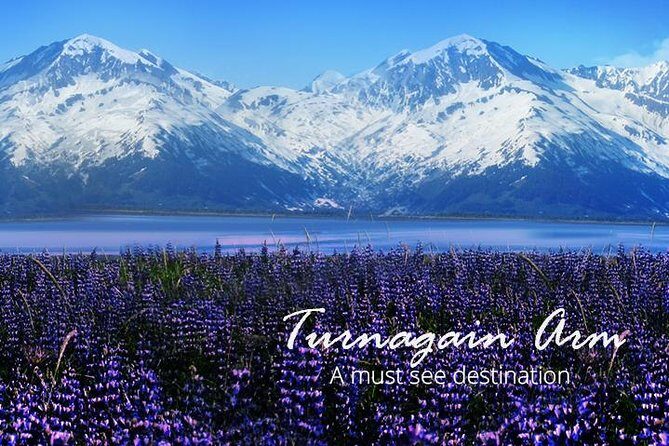 Stunning Turnagain Arm Tour: "A Must See Destination" - What Travelers Say