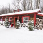 Sugar Shack Full Day Tour from Montreal - How Does the Tour Provide Value?