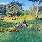 Summer of Love San Francisco Guided eBike Tour Golden Gate Park - Authentic Traveler Feedback