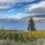 Summerland Half Day Wine Tour (Incl. Tasting Fees & Guide Grat!) - Who Should Consider This Tour?