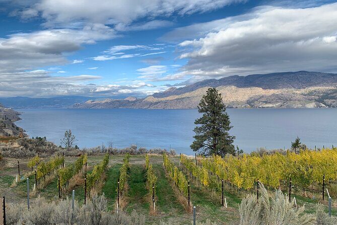 Summerland Half Day Wine Tour (Incl. Tasting Fees & Guide Grat!) - Who Should Consider This Tour?