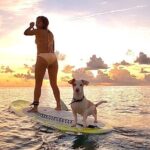 Sunrise Paddle Surf - Who Will Love Sunrise Paddle Surf?