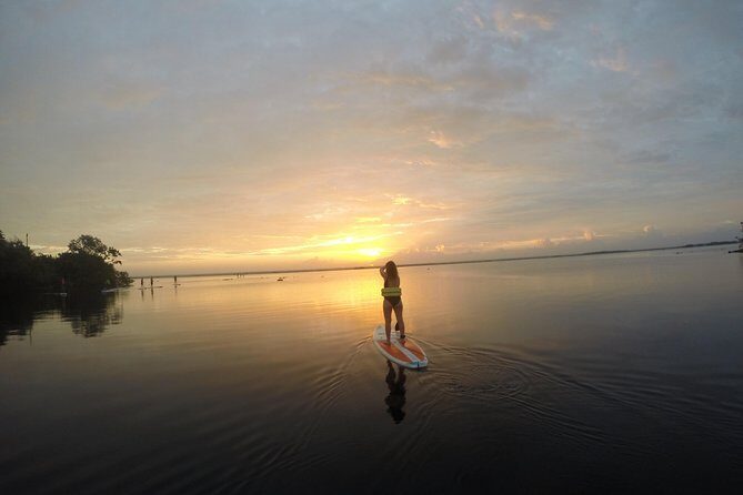 Sunrise Tour (Stand Up Paddle or Kayak) - The Sum Up