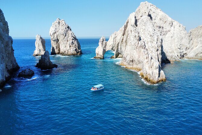 Sunrise Whale Watching boat tour with marine biologist - Who will love this tour?