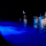 Sunset and Bioluminescence Boat Tour at Los Arcos Islands - Weather, Seasonality, and Visibility