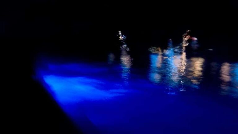 Sunset and Bioluminescence Boat Tour at Los Arcos Islands - Weather, Seasonality, and Visibility