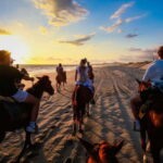 Sunset by Horse on the Beach - An In-Depth Look at the Tour