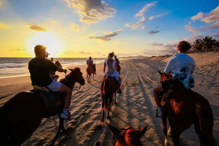 Sunset by Horse on the Beach - An In-Depth Look at the Tour