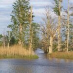 Sunset Cruise - Final Thoughts: Is It Worth It?