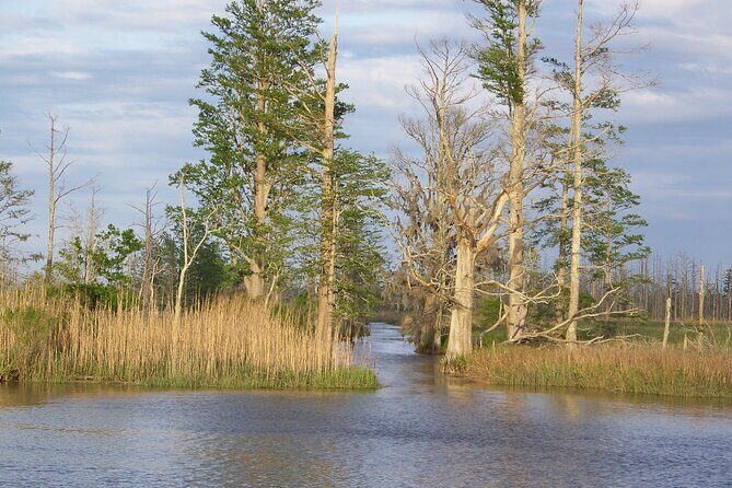 Sunset Cruise - Final Thoughts: Is It Worth It?