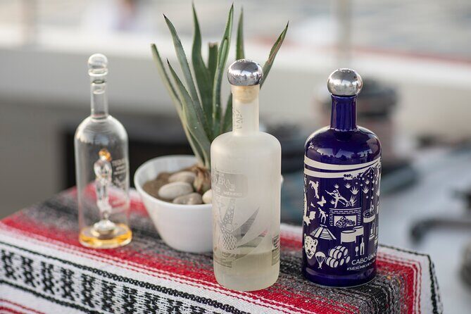 Sunset Cruise Tequila Tasting - Practical Details and What to Expect