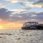 Sunset Dinner Cruise in Los Cabos - What to Expect on the Sunset Dinner Cruise