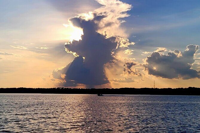 Sunset, Dolphin/Birding On A Private Guided Savannah Cruise - Who Will Love This Tour?