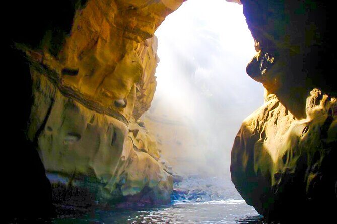 Sunset Kayak Tour of La Jolla Caves - What to Expect During the Tour
