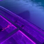 Sunset LED Clear Kayak Rentals for Glacier Park - Price and Value