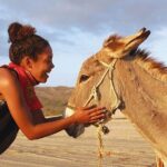 Sunset Pacific Donkey Hiking Tour - Who Will Enjoy This Tour?
