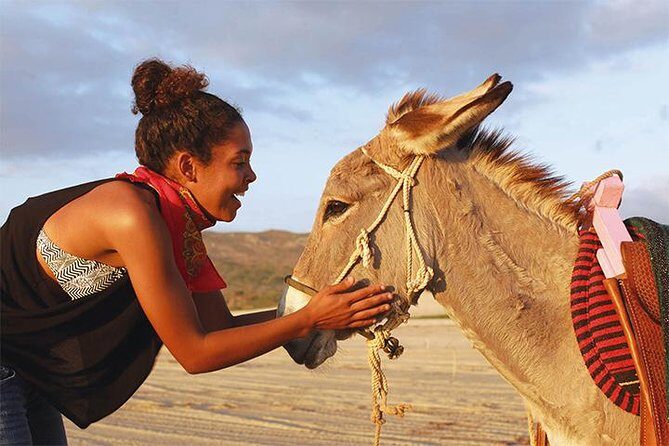 Sunset Pacific Donkey Hiking Tour - Who Will Enjoy This Tour?