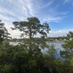 Sunset, Stand Up Paddle and Sip - The Sum Up