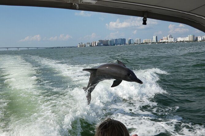 Sunset Tour - Private Party up to 6 - Final Thoughts