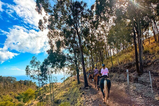 Sunshine Mountain Vista Horseback Trail Ride on Oahu - Who Will Enjoy This Tour?